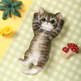 Calico Cheer Kitty Taba Squishy
