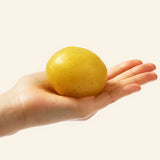 FUFUSQUISHY Smoothie Mashed Potatoes Stress Ball