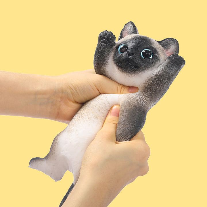 Brownie Cheer Kitty Taba Squishy