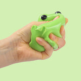 Little Green Frog Taba Squishy