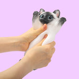 Maine Cheer Kitty Taba Squishy