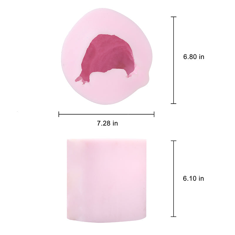 1600g Realistic Chicken Squishy Mold