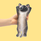Brownie Cheer Kitty Taba Squishy