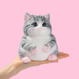 800g Giant Gray Cat Taba Squishy