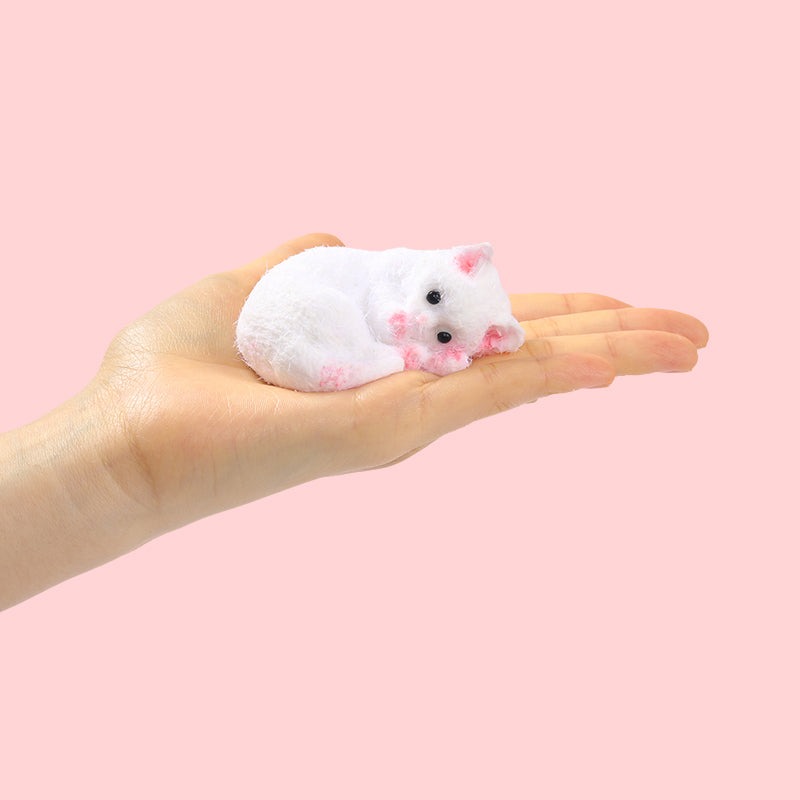 Lying Cat Taba Squishy