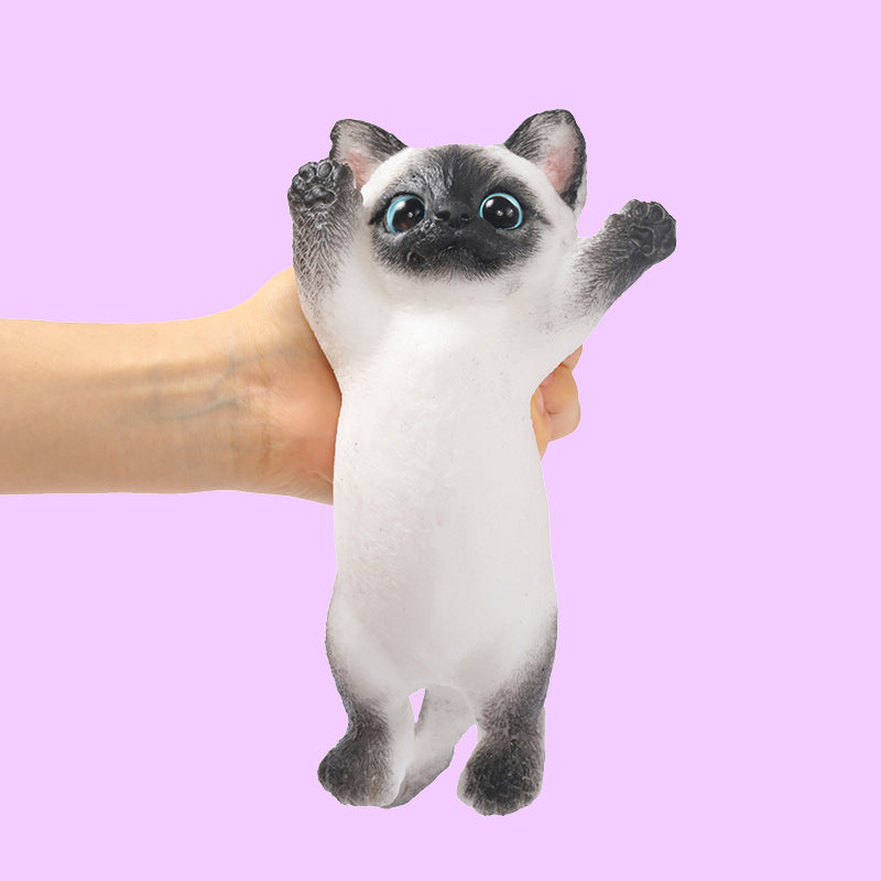 Maine Cheer Kitty Taba Squishy