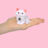 Premium Pearl Cat Taba Squishy