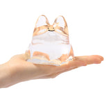 250g Crystal Smile Bunny Taba Squishy