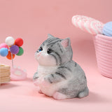 800g Giant Gray Cat Taba Squishy