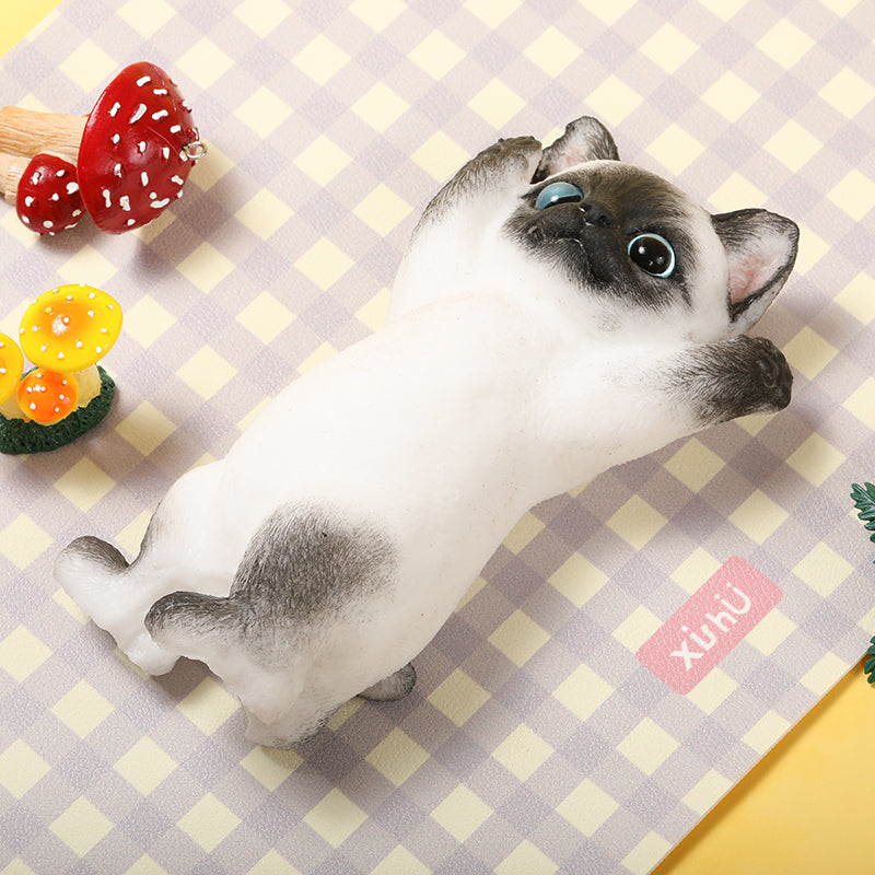Maine Cheer Kitty Taba Squishy