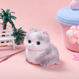 800g Giant Gary King Cat Taba Squishy