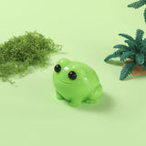 Little Green Frog Taba Squishy