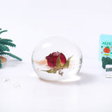 100g Crystal Magic Rose Ball Taba Squishy
