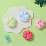 4PC Random Limited-Edition Rainbow Paw Blush Set Taba Squishy