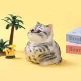 800g Giant Gray Stripes Cat Taba Squishy