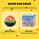 FUFUSQUISHY Seal Dumpling Squishy Blind Box