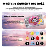 FUFUSQUISHY Mystery Dig Kit